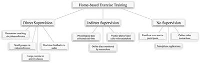 Home-Based Tele-Exercise in Musculoskeletal Conditions and Chronic Disease: A Literature Review